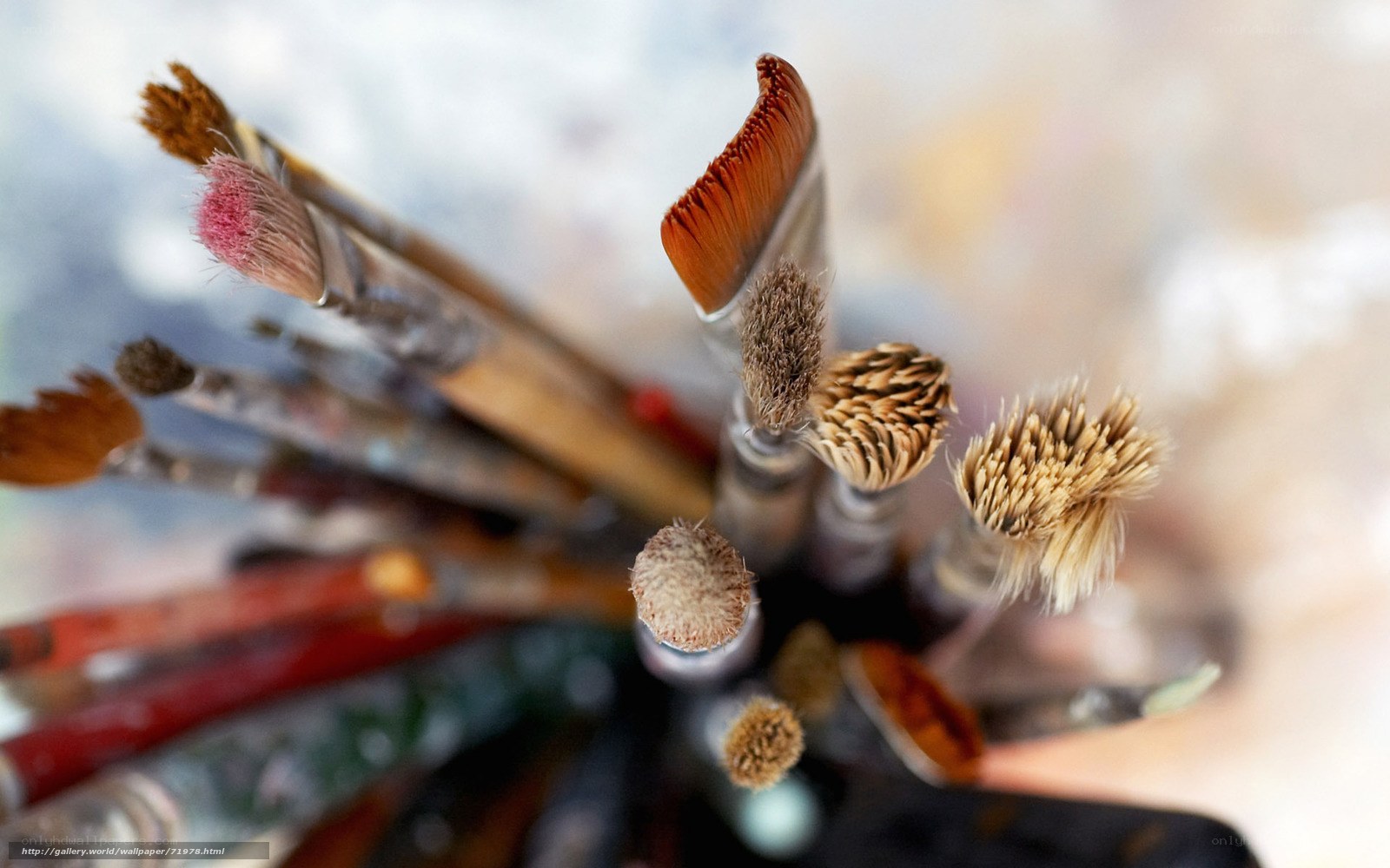 paintbrushes in a holder