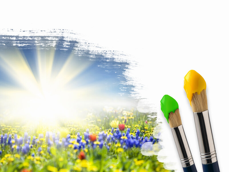 Paintbrushes on Flower Field