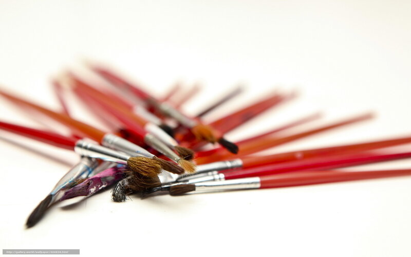 Paintbrushes on white surface
