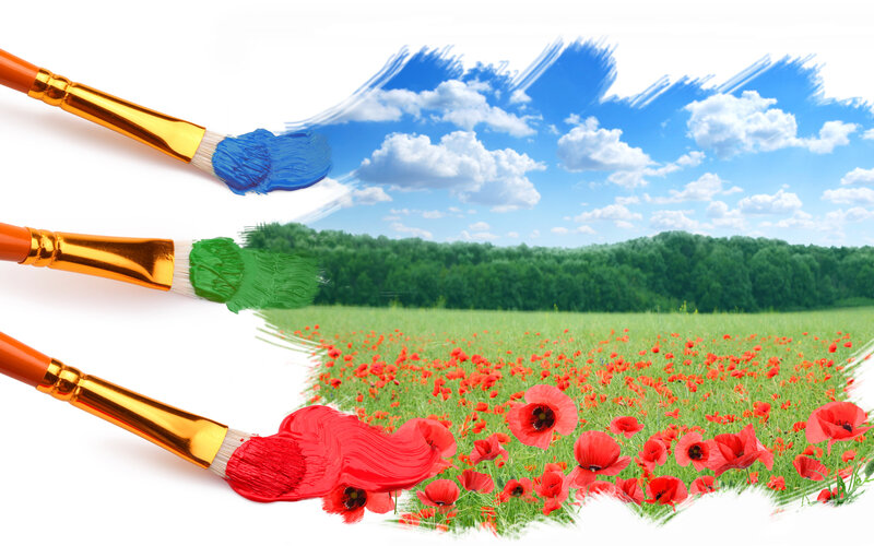 Paintbrushes Painting Field