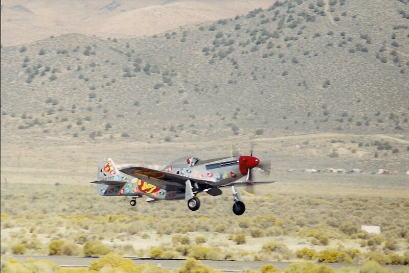 Painted Airplane in Flight — Gray