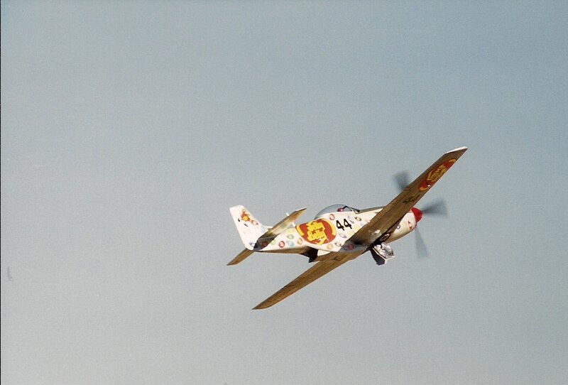 Painted Airplane in Flight
