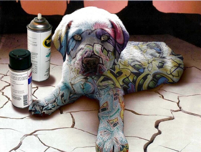 Painted Dog Puppy
