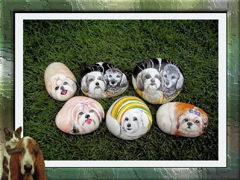 Painted Dog Rocks