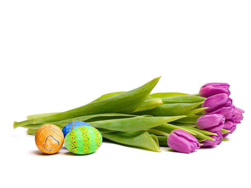 Painted Eggs and Tulips