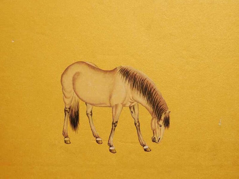 Painted Horse Grazing