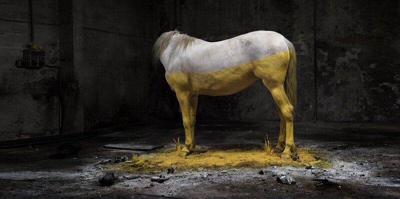 Painted horse in abandoned building