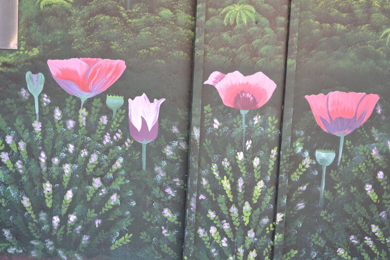 Painted Poppies on Wall