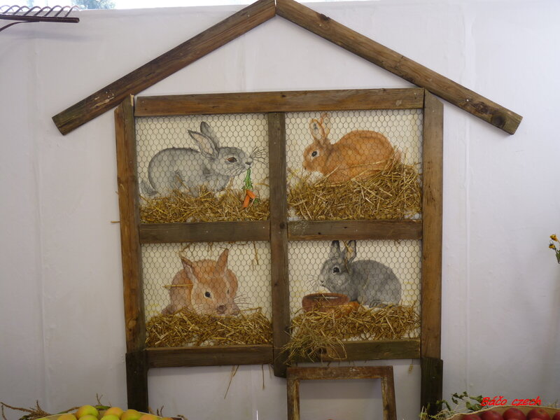 Painted Rabbits in Coop