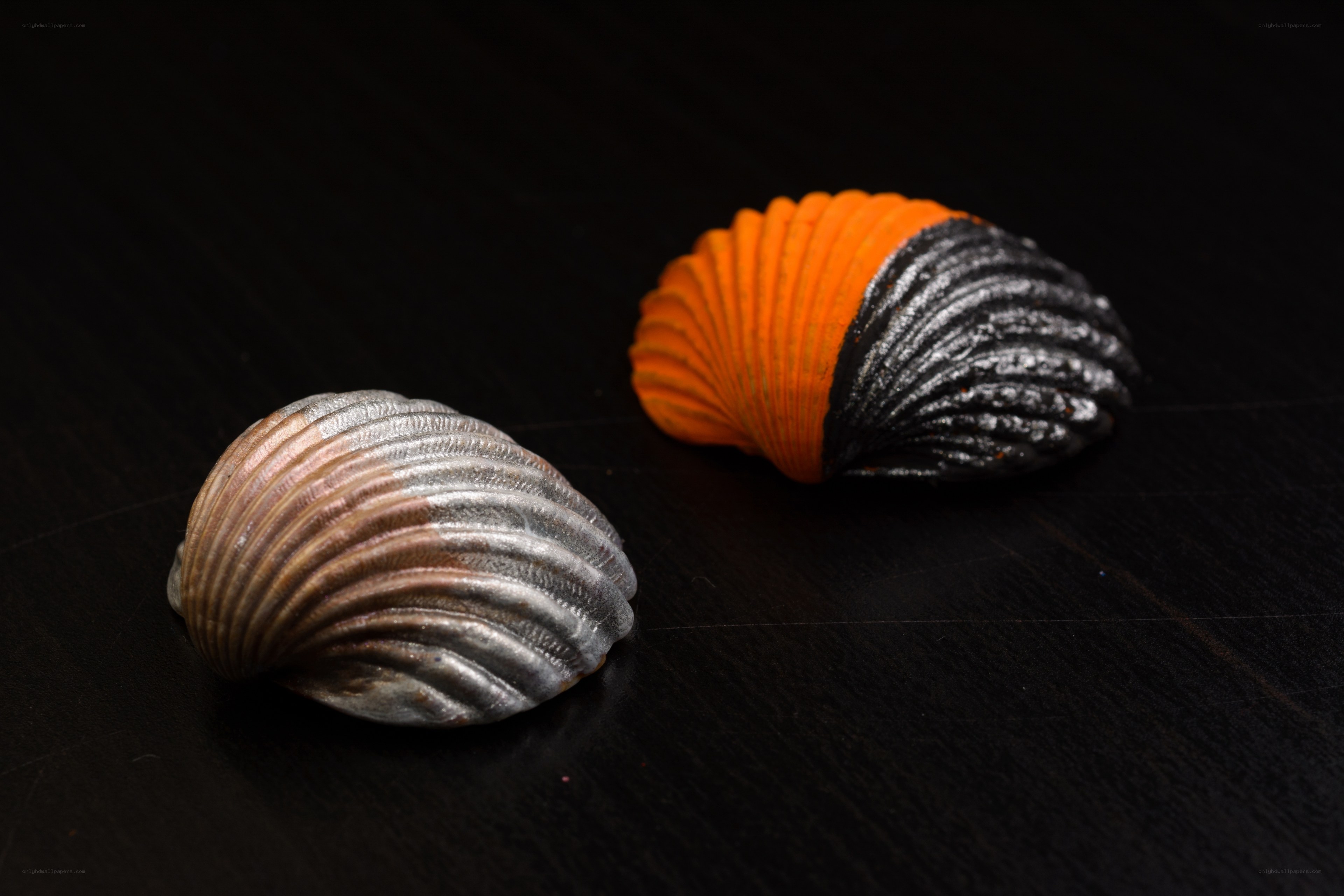 Painted seashells on dark surface