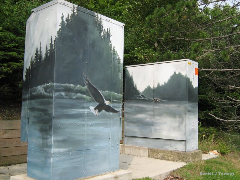 Painted utility boxes with eagle art
