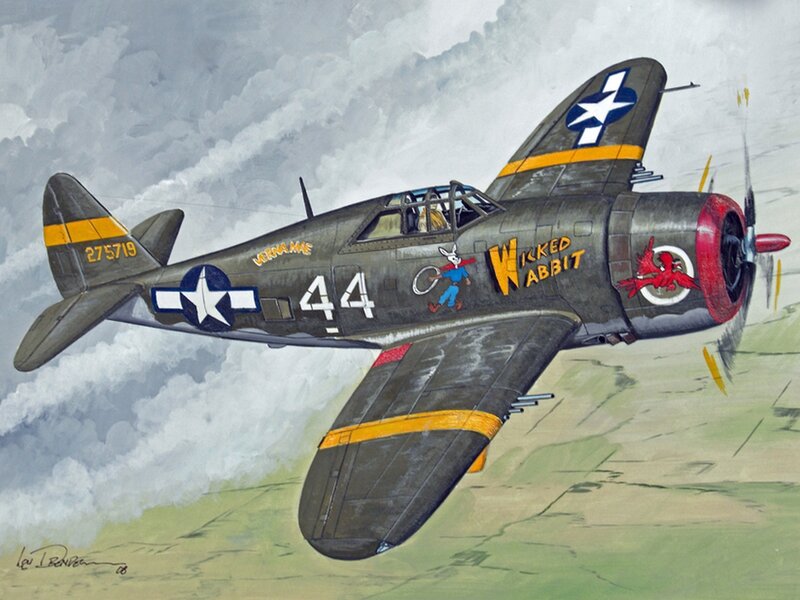 Painted Warplane in Flight
