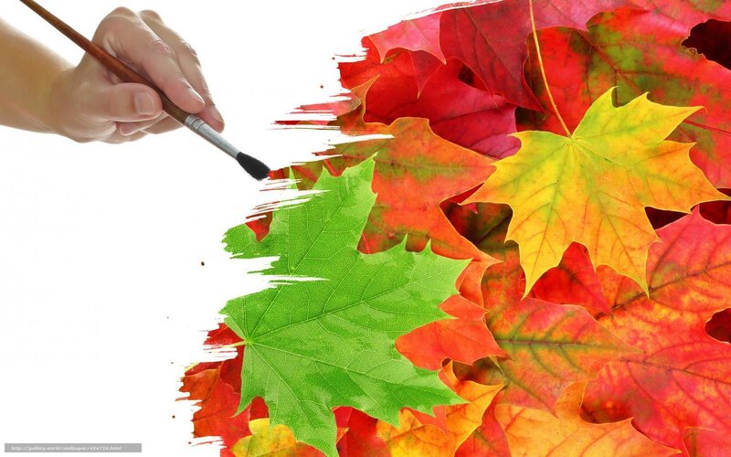 painting autumn leaves