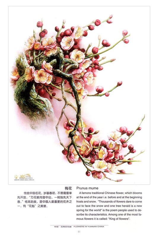 Painting of Plum Blossoms