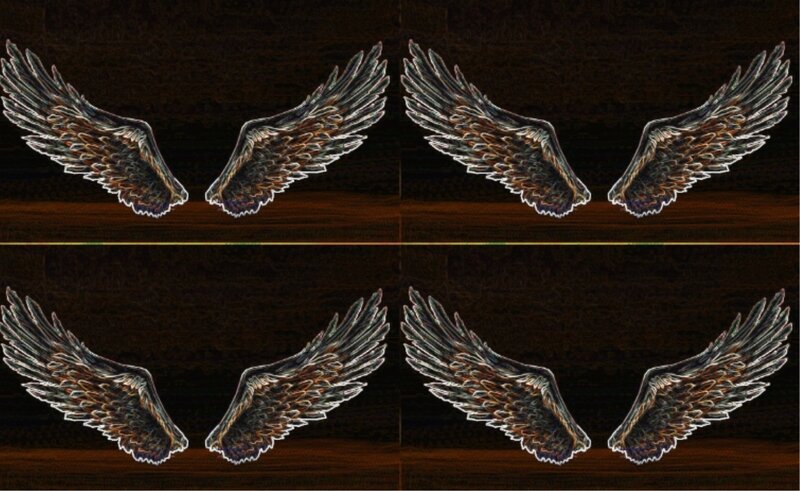 Pair of Angel Wings