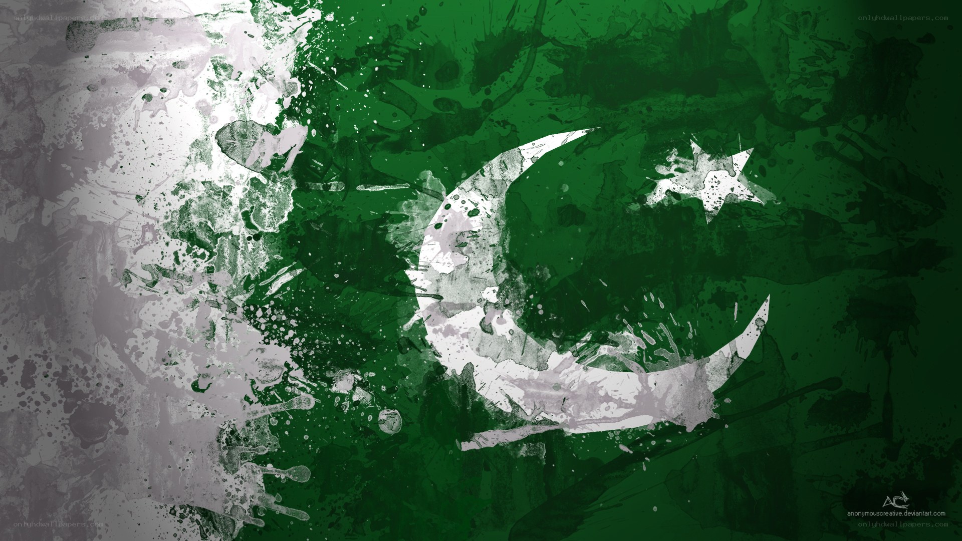 Pakistan flag art design