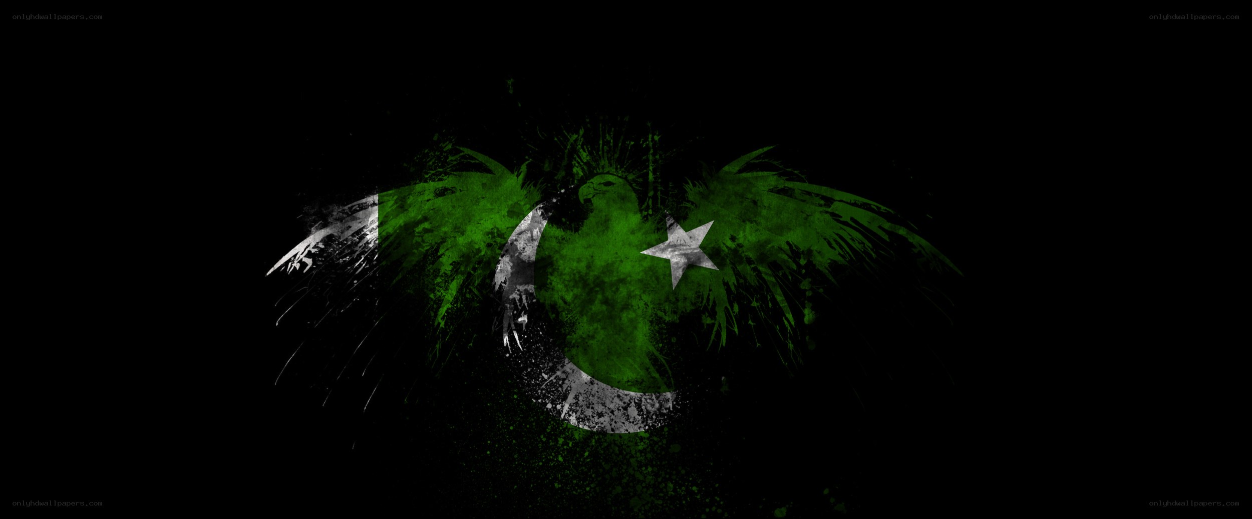 Pakistan flag with wings