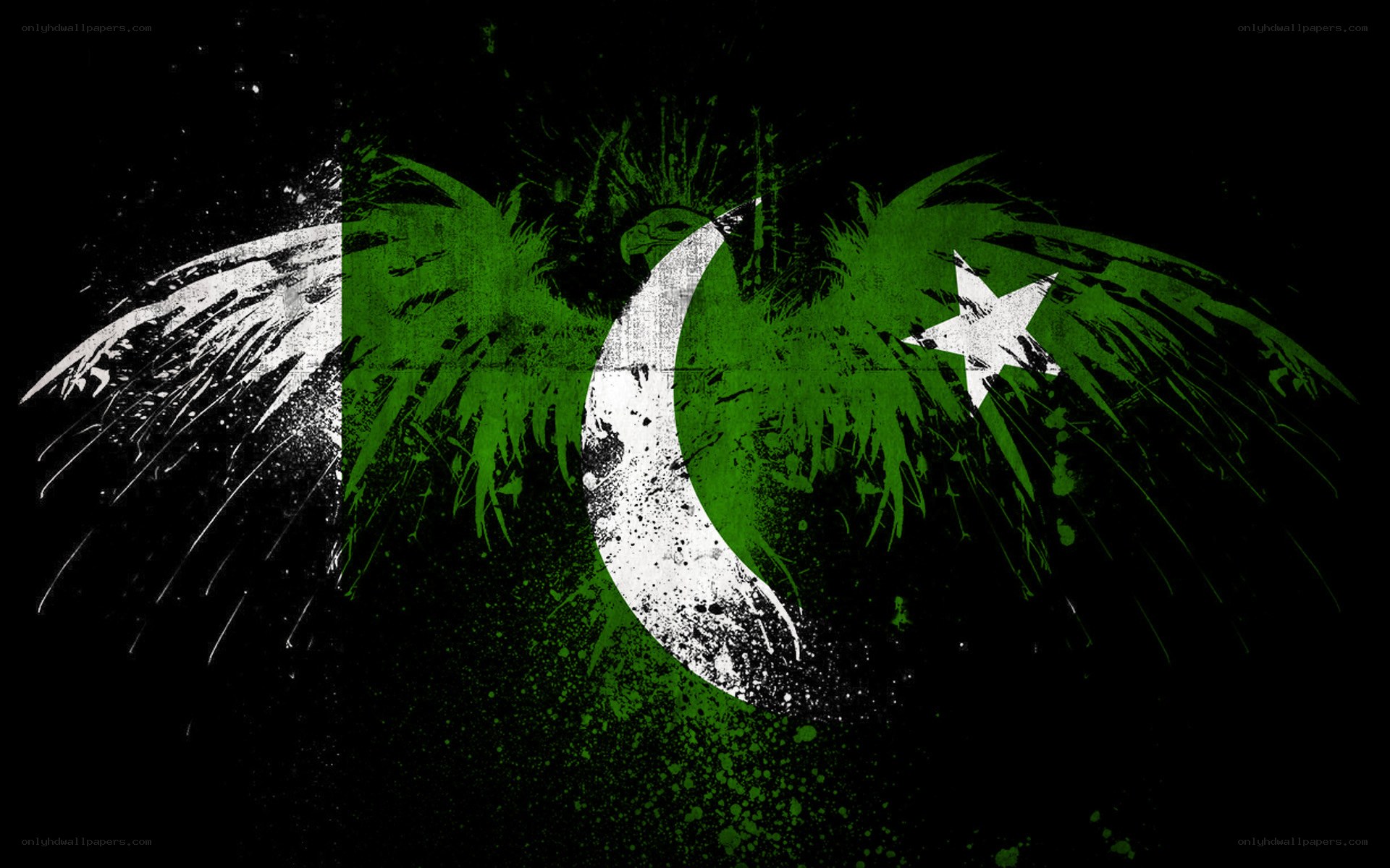Pakistan flag with wings