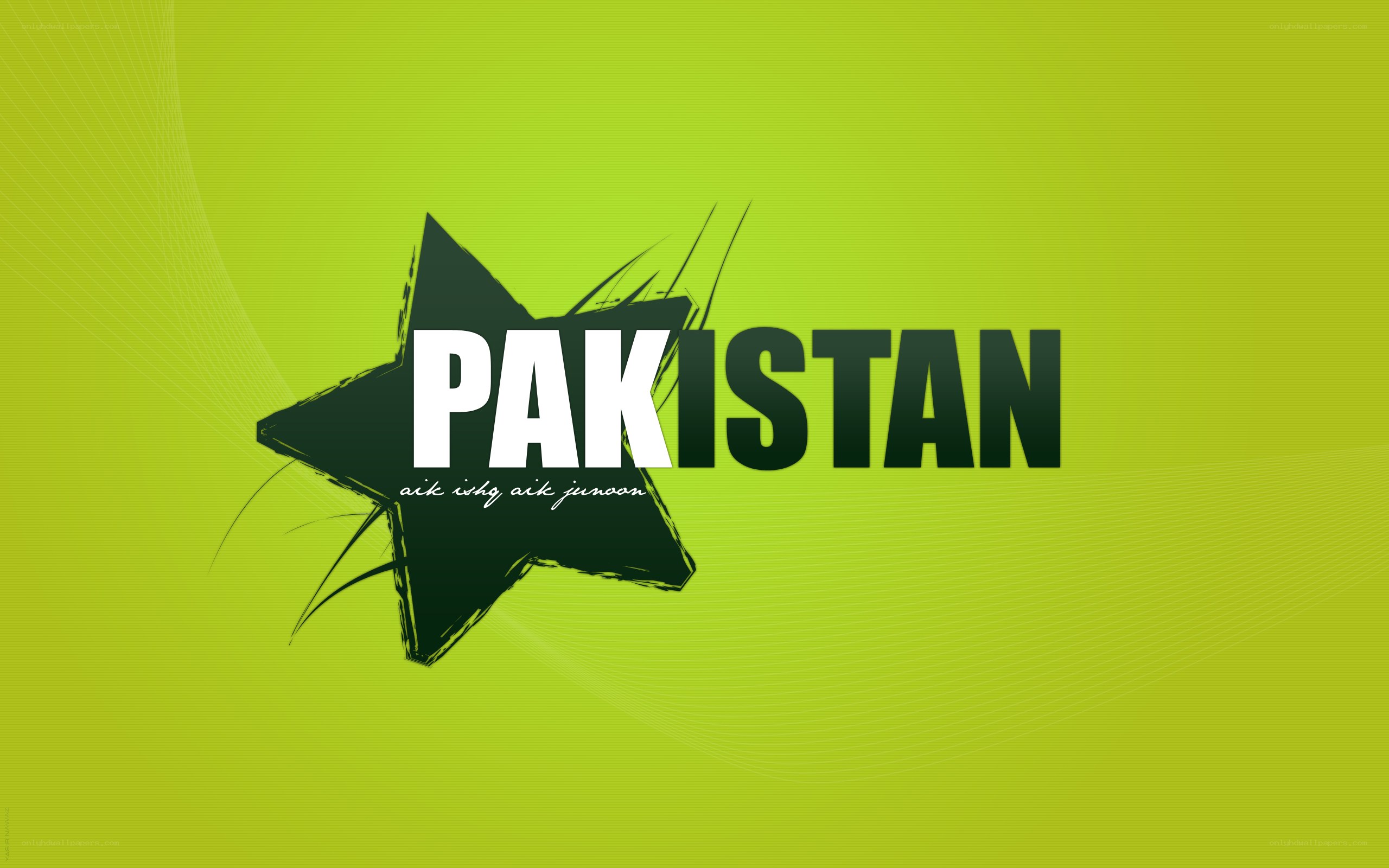 Pakistan patriotic graphic