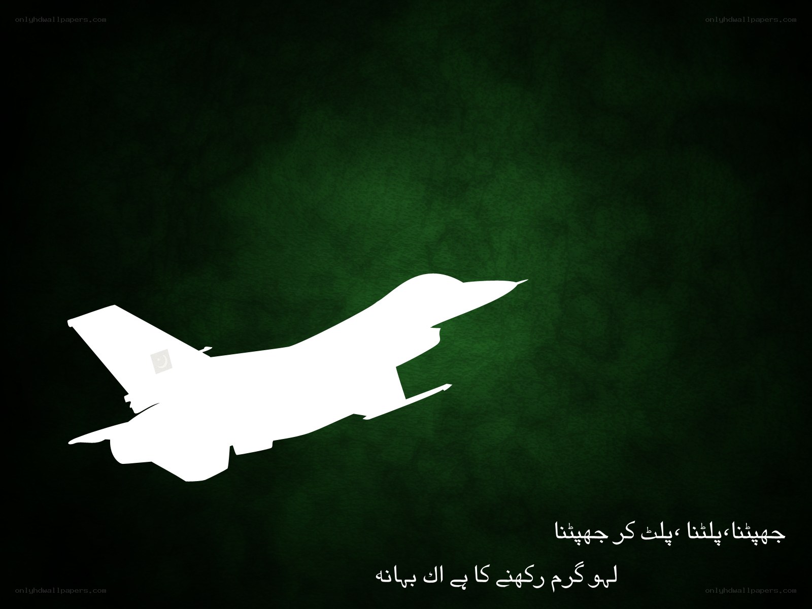 Pakistani Air Force Jet