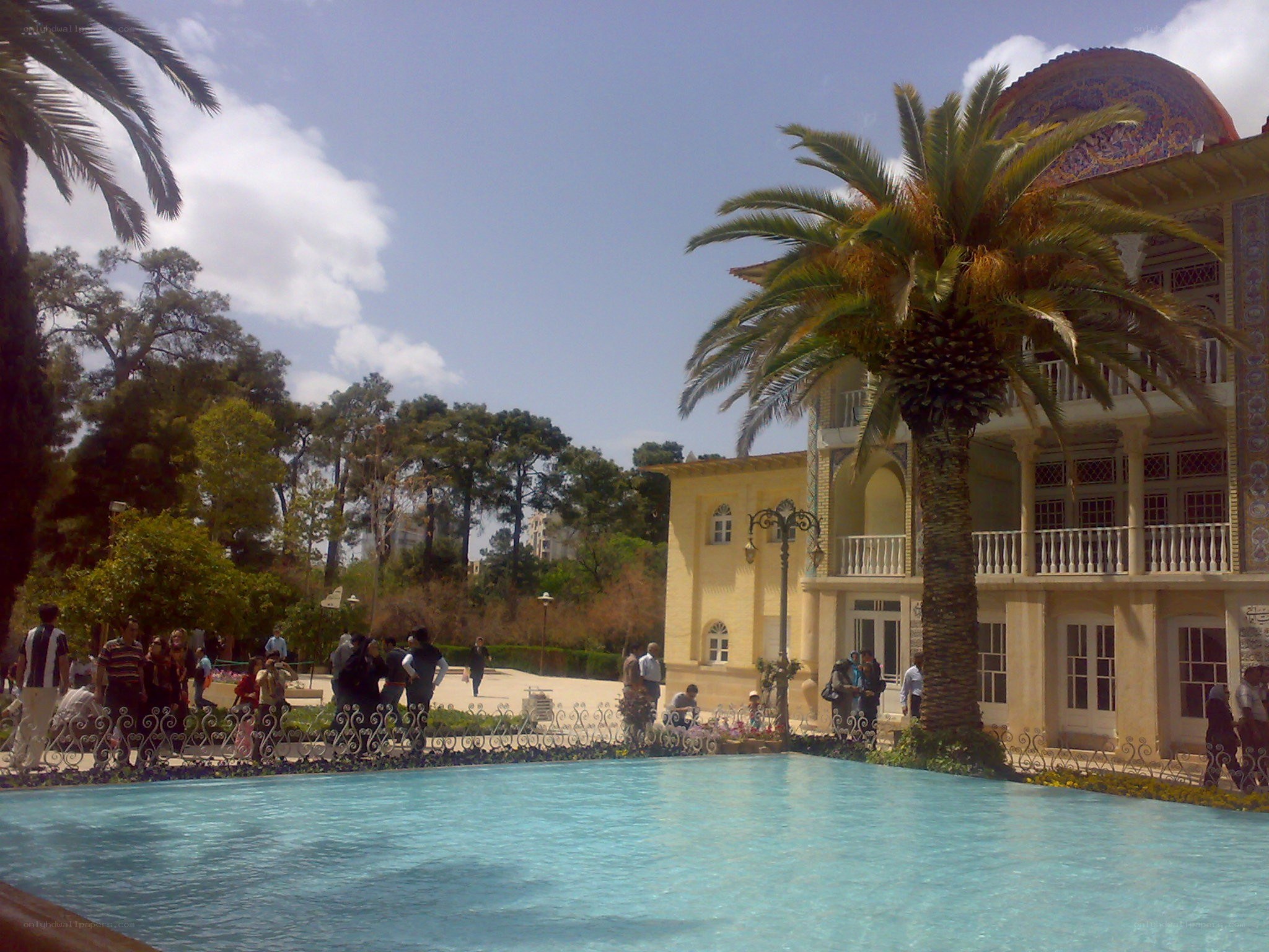 Palace with pool and palm trees