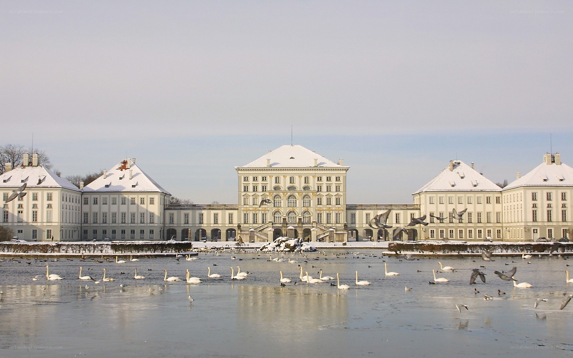 Palace with swans in winter