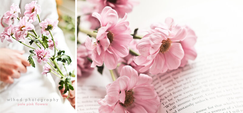 Pale Pink Flowers
