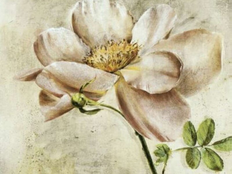 pale rose flower painting