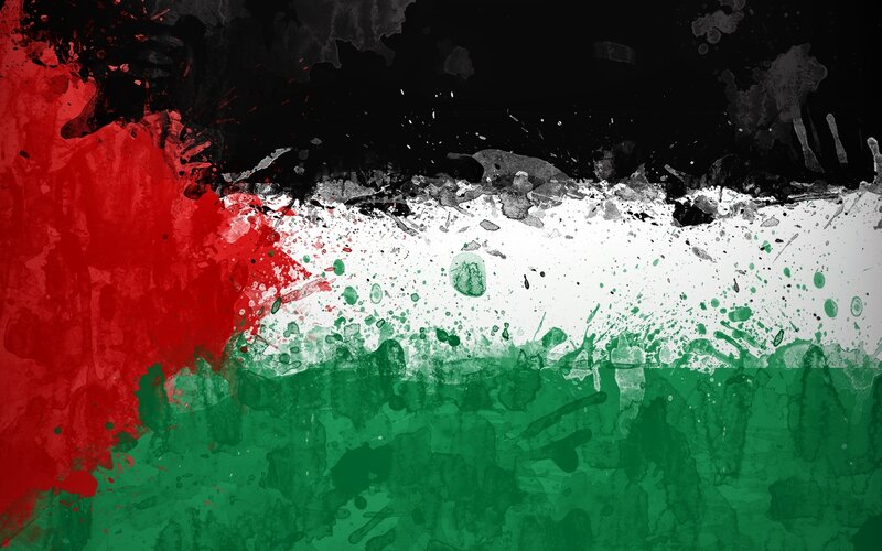 Palestinian flag art
