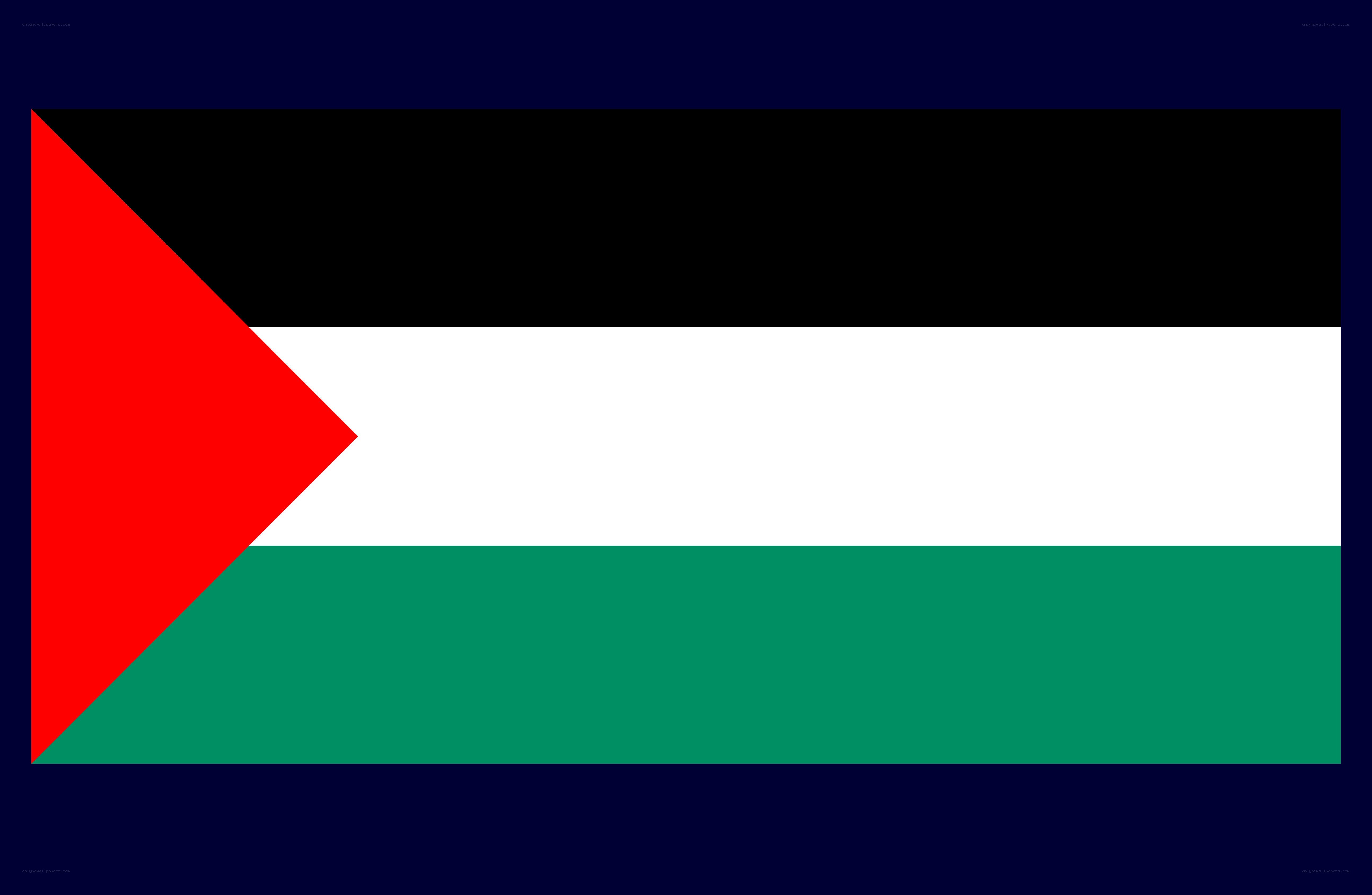 Palestinian flag design