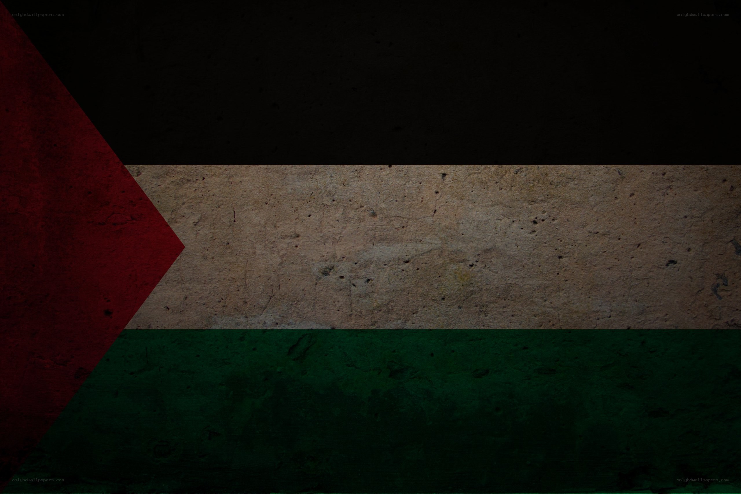 Palestinian flag on textured wall