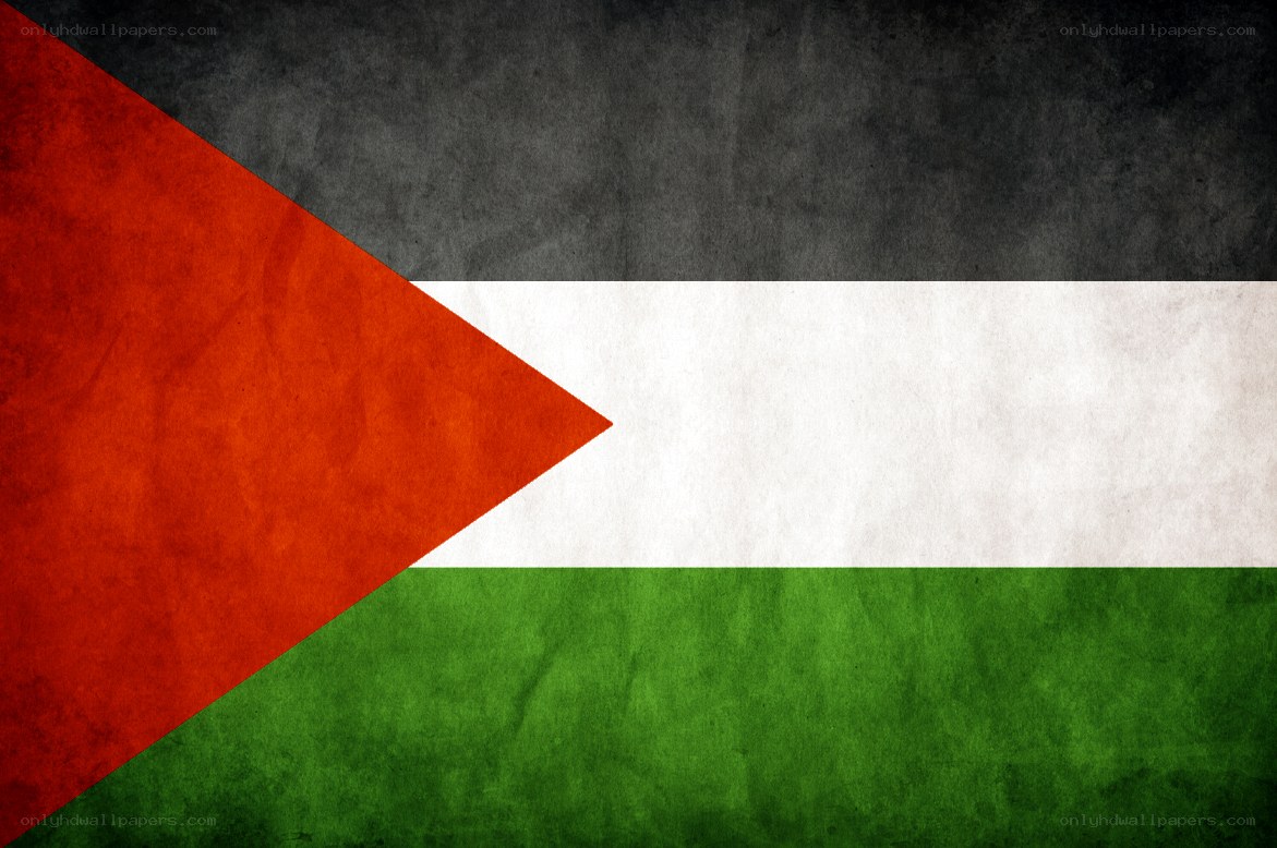 Palestinian flag with distressed texture