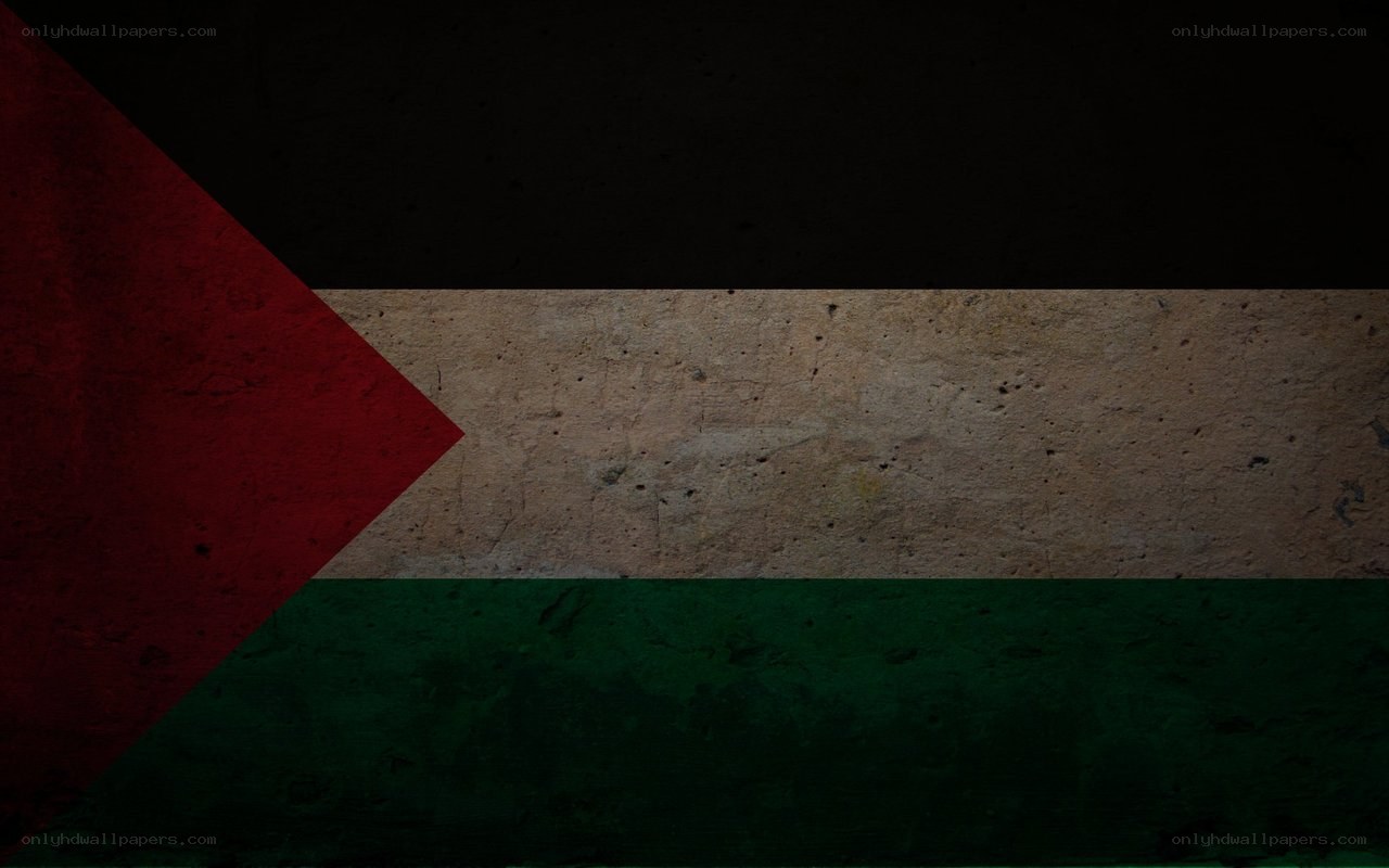 Palestinian flag with distressed texture