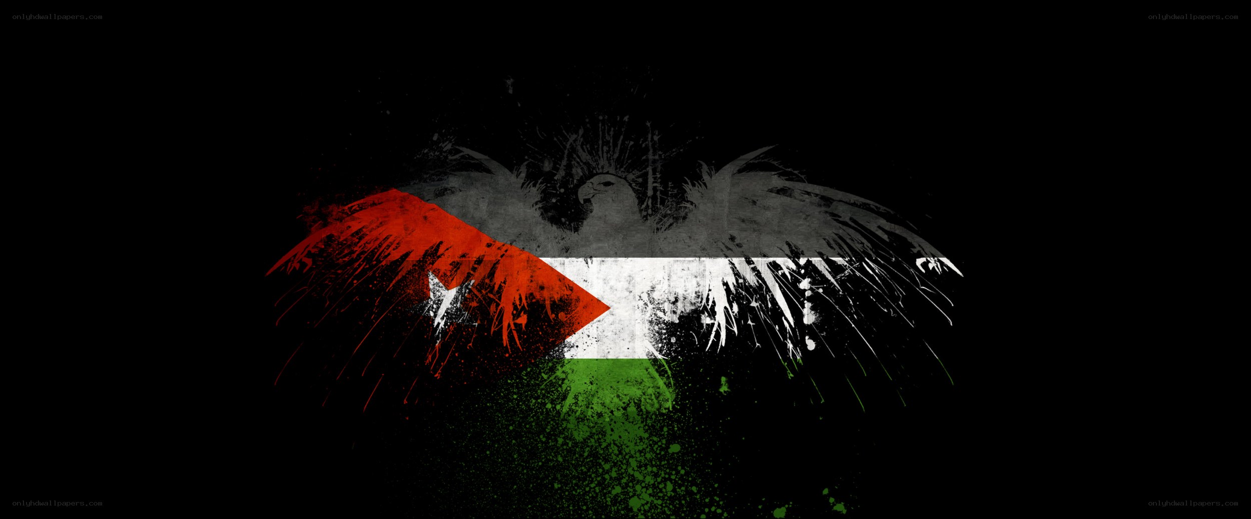 Palestinian flag with eagle