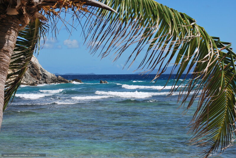 Palm-fringed ocean view