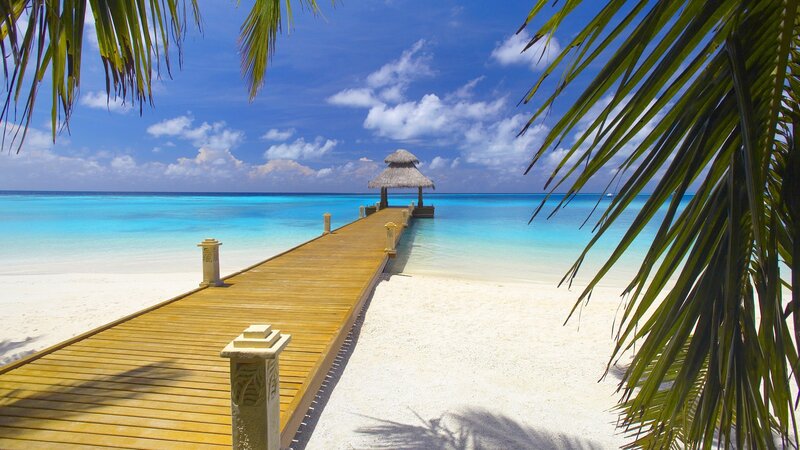 Palm-fringed pier at tropical beach