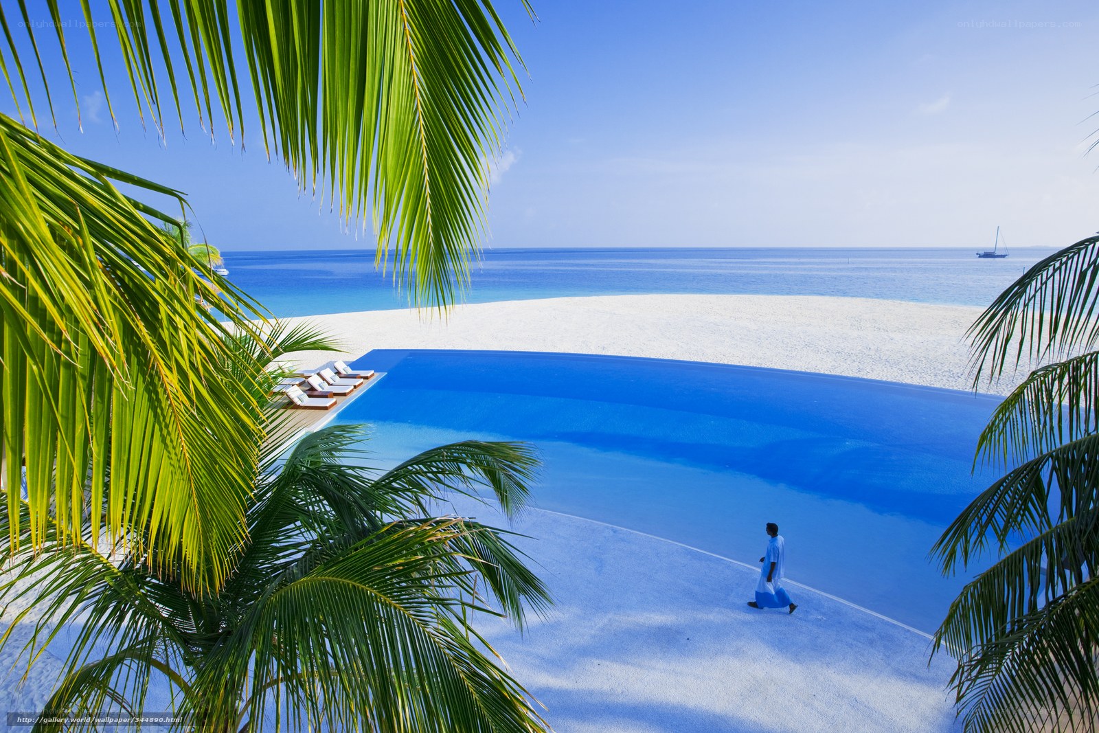 Palm-fringed pool overlooking beach