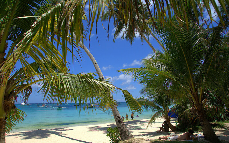 Palm-fringed tropical beach scene