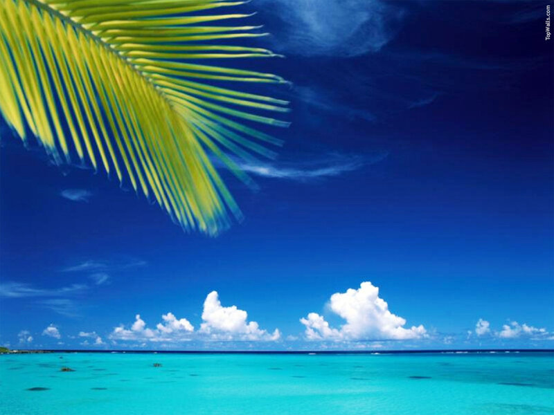 Palm Frond over Ocean