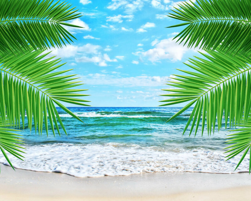 Palm Fronds at Beach