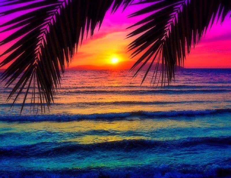Palm Fronds at Sunset — Purple