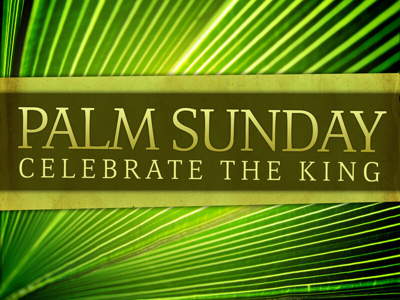 Palm Fronds Background