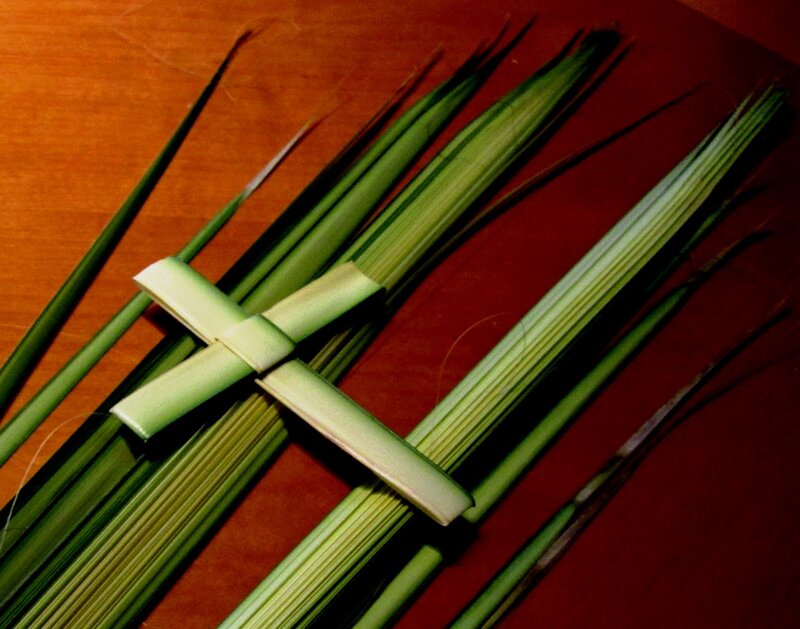 Palm Fronds Forming a Cross