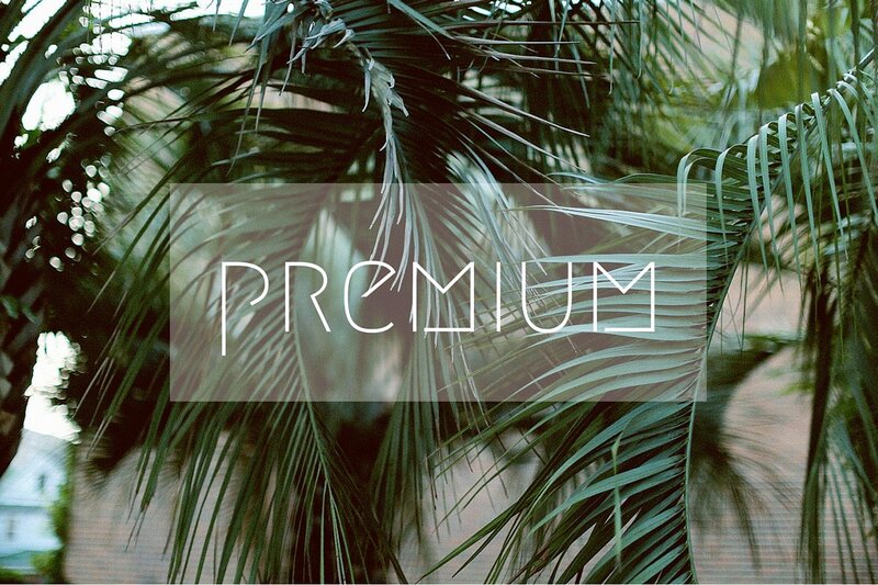 Palm Fronds in Sunlight — Green, Serene