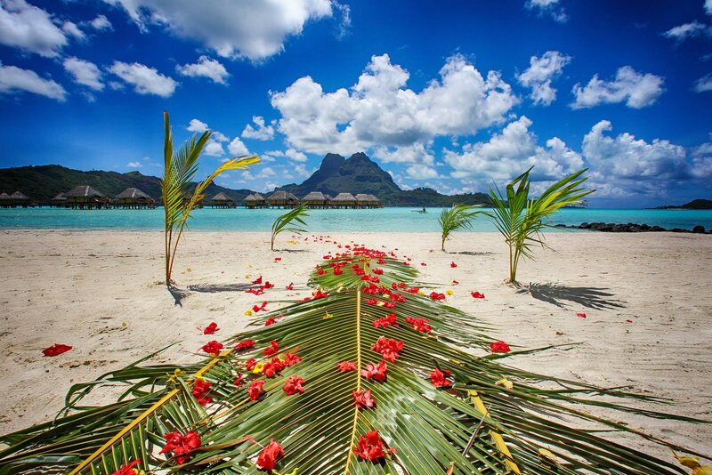 Palm Fronds on Beach