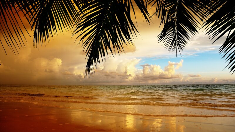Palm Fronds over Beach — Gold
