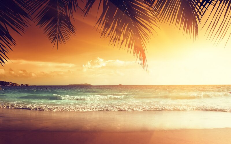 Palm Fronds over Beach — Orange, Serene