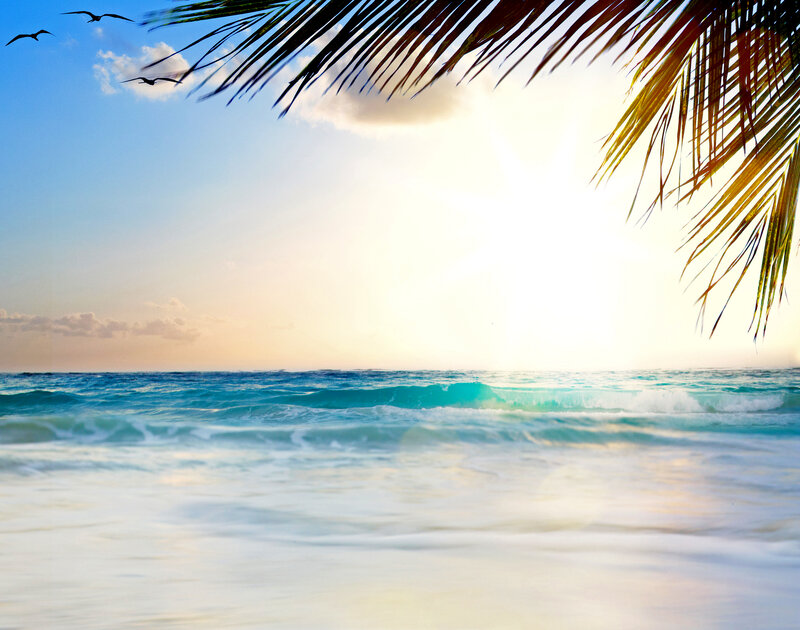 Palm Fronds over Ocean — Blue