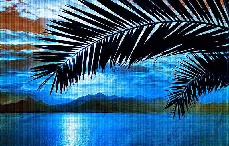 Palm Fronds over Water