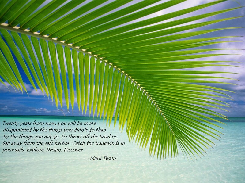 Palm leaf beach quote